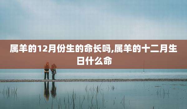 属羊的12月份生的命长吗,属羊的十二月生日什么命