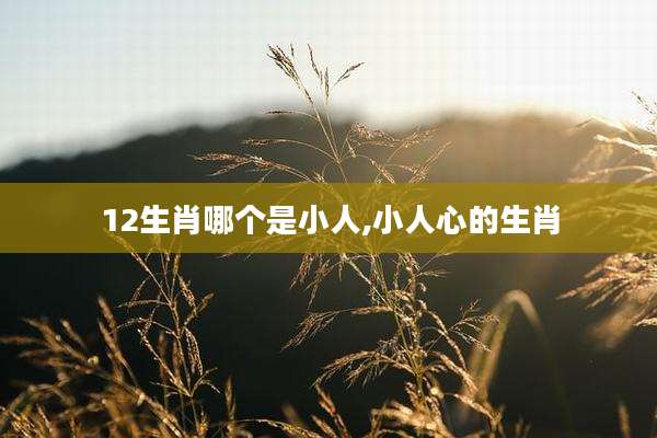 12生肖哪个是小人,小人心的生肖