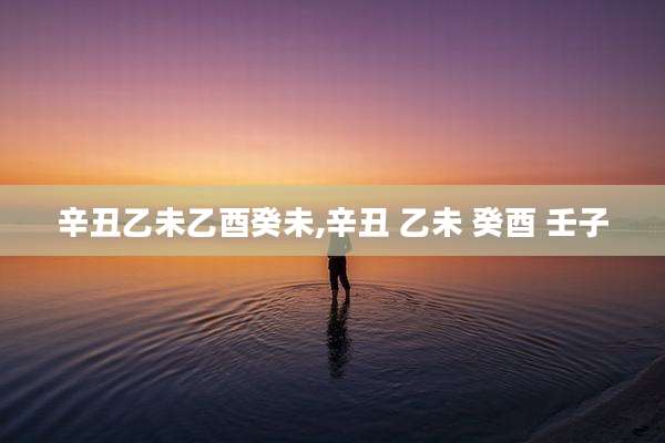 辛丑乙未乙酉癸未,辛丑 乙未 癸酉 壬子
