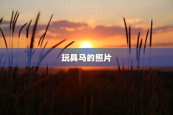 玩具马的照片
