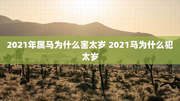2021年属马为什么害太岁 2021马为什么犯太岁