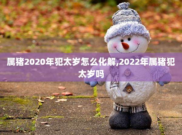属猪2020年犯太岁怎么化解,2022年属猪犯太岁吗