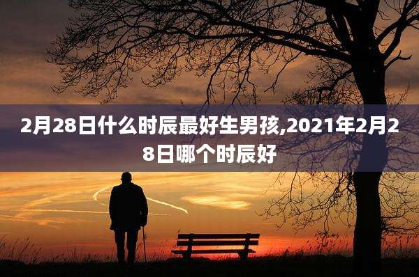 2月28日什么时辰最好生男孩,2021年2月28日哪个时辰好