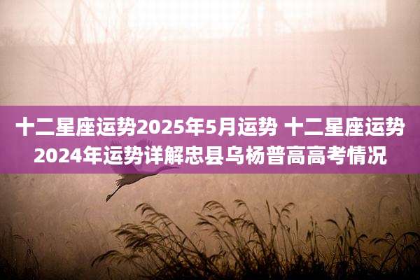 十二星座运势2025年5月运势 十二星座运势2024年运势详解忠县乌杨普高高考情况