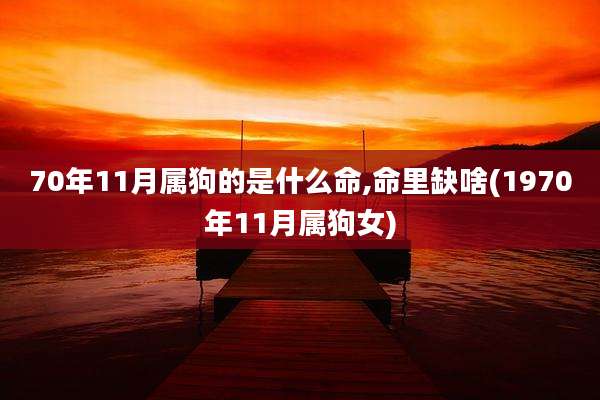 70年11月属狗的是什么命,命里缺啥(1970年11月属狗女)