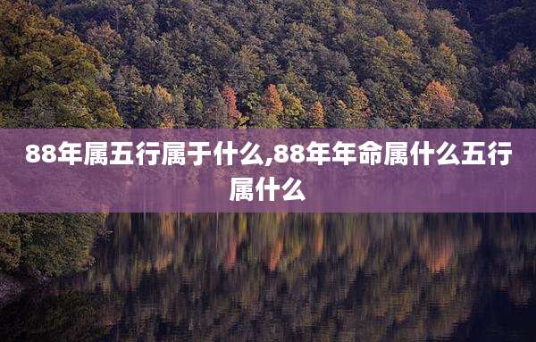 88年属五行属于什么,88年年命属什么五行属什么