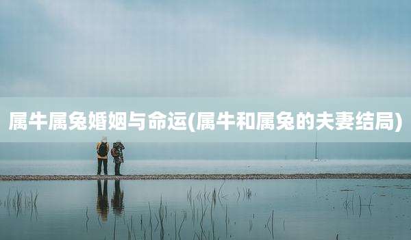 属牛属兔婚姻与命运(属牛和属兔的夫妻结局)