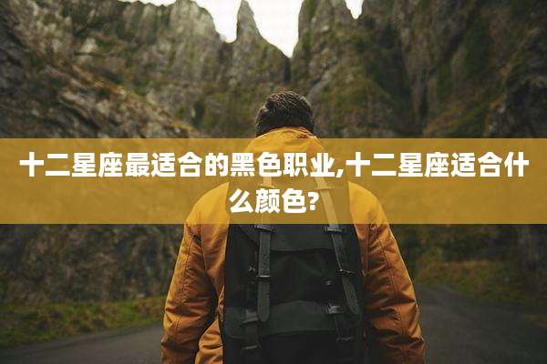 十二星座最适合的黑色职业,十二星座适合什么颜色?