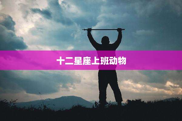 十二星座上班动物