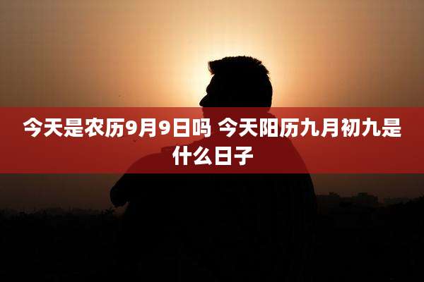 今天是农历9月9日吗 今天阳历九月初九是什么日子