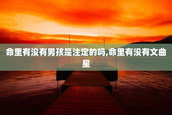 命里有没有男孩是注定的吗,命里有没有文曲星