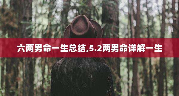六两男命一生总结,5.2两男命详解一生