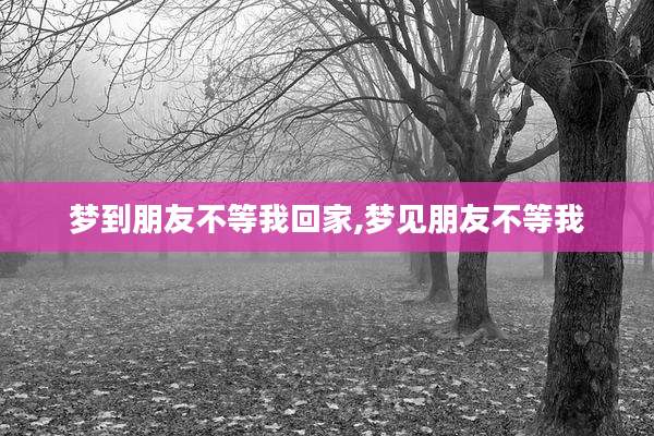 梦到朋友不等我回家,梦见朋友不等我