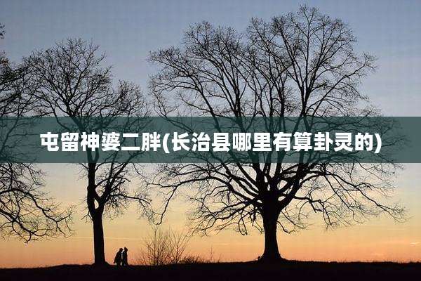 屯留神婆二胖(长治县哪里有算卦灵的)