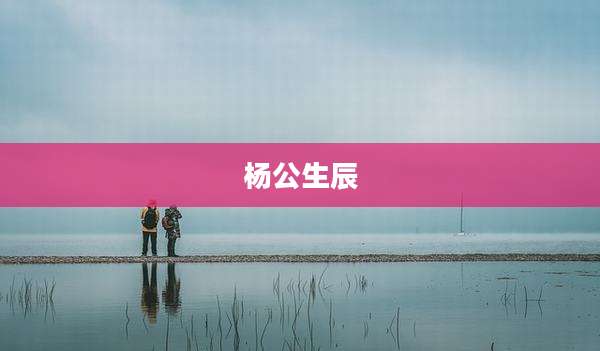 杨公生辰
