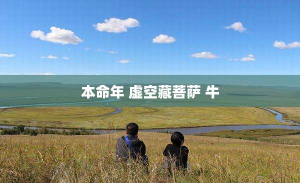 本命年 虚空藏菩萨 牛