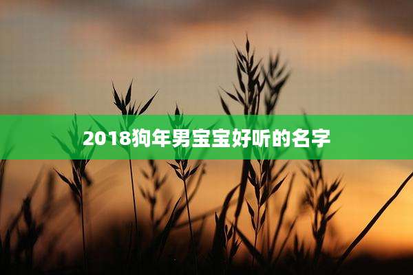 2018狗年男宝宝好听的名字