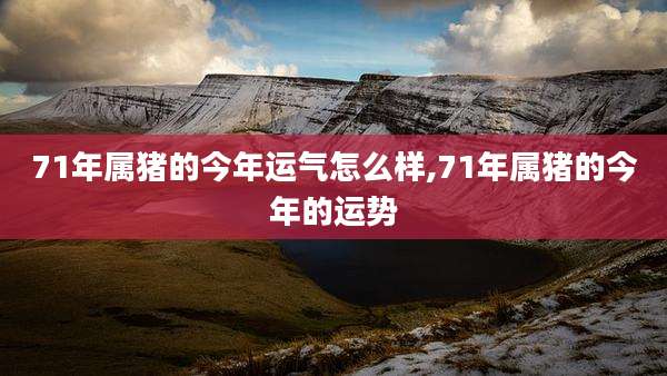 71年属猪的今年运气怎么样,71年属猪的今年的运势