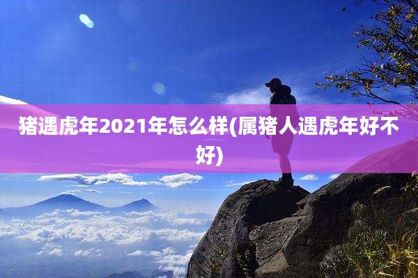 猪遇虎年2021年怎么样(属猪人遇虎年好不好)