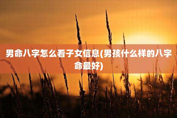 男命八字怎么看子女信息(男孩什么样的八字命最好)