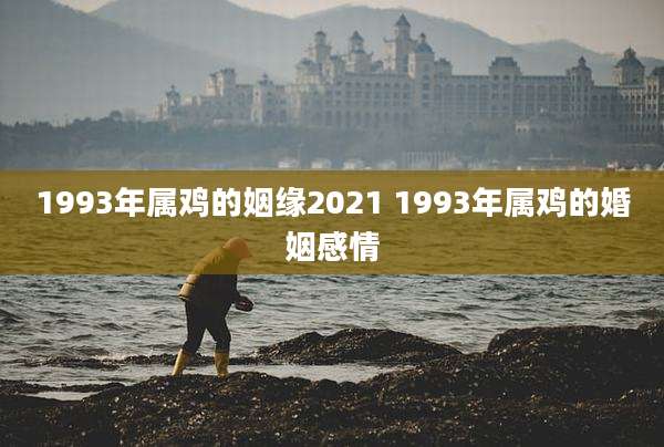 1993年属鸡的姻缘2021 1993年属鸡的婚姻感情