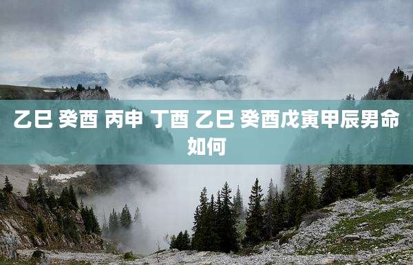 乙巳 癸酉 丙申 丁酉 乙巳 癸酉戊寅甲辰男命如何