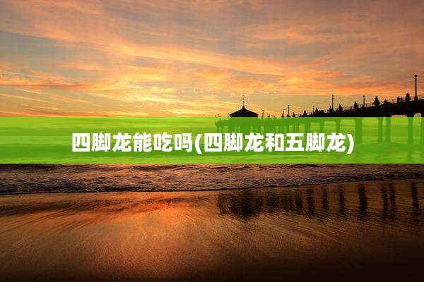 四脚龙能吃吗(四脚龙和五脚龙)