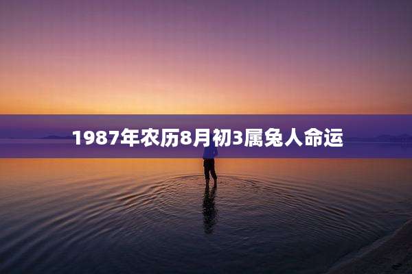 1987年农历8月初3属兔人命运