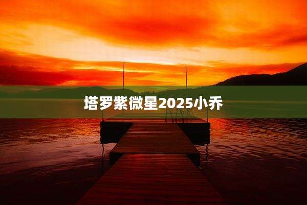 塔罗紫微星2025小乔