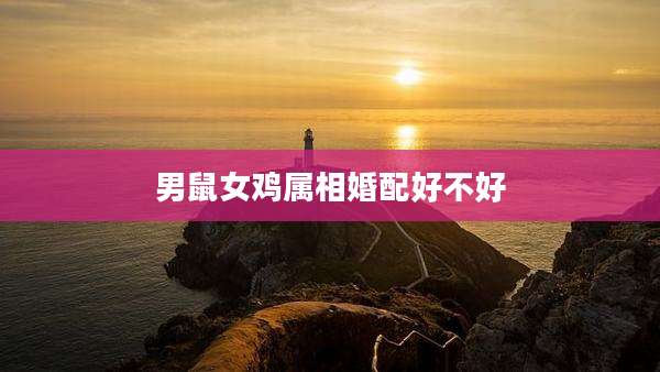男鼠女鸡属相婚配好不好