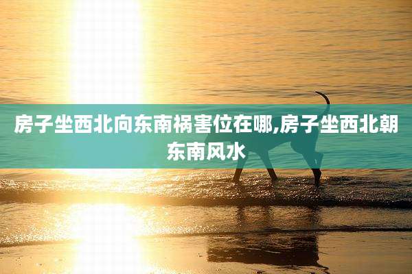 房子坐西北向东南祸害位在哪,房子坐西北朝东南风水