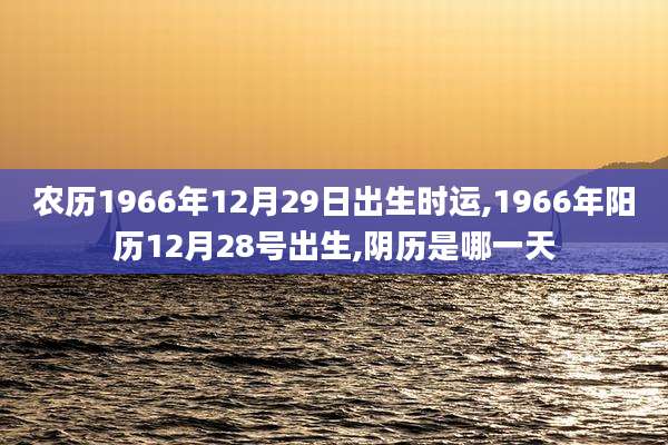 农历1966年12月29日出生时运,1966年阳历12月28号出生,阴历是哪一天