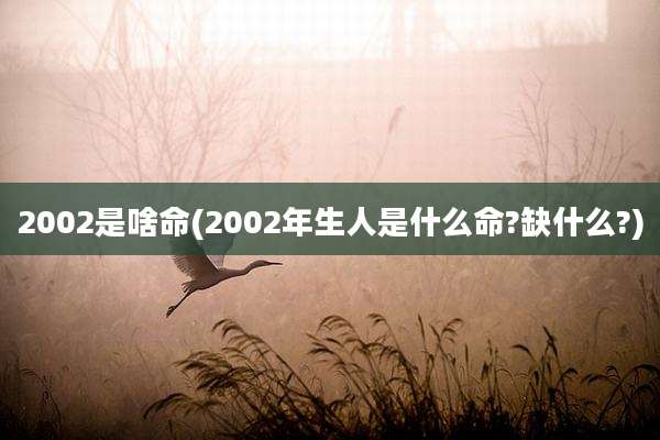 2002是啥命(2002年生人是什么命?缺什么?)