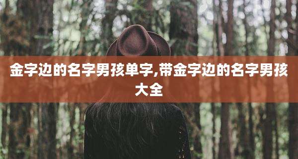 金字边的名字男孩单字,带金字边的名字男孩大全