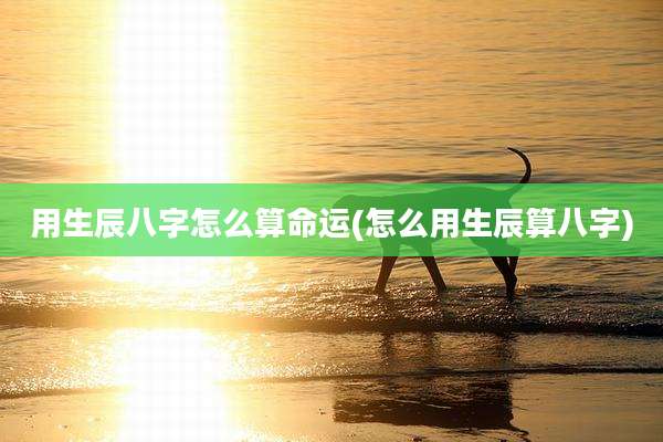 用生辰八字怎么算命运(怎么用生辰算八字)