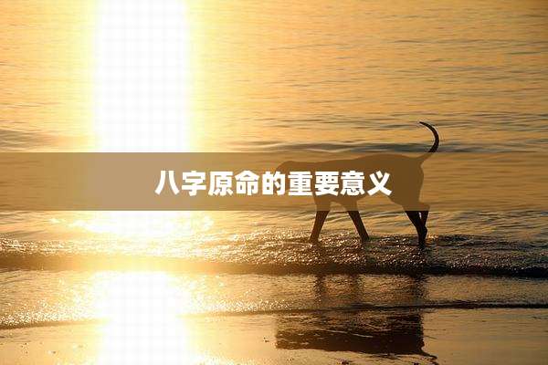 八字原命的重要意义