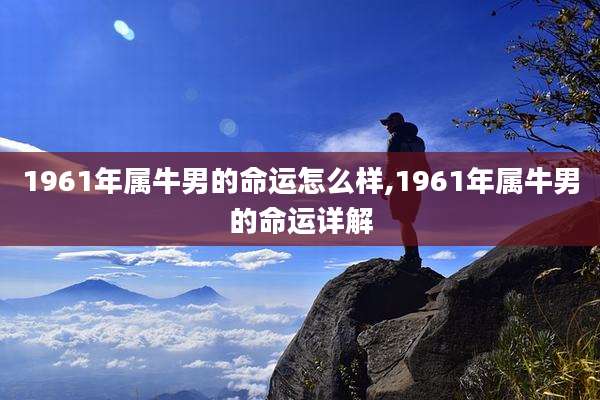 1961年属牛男的命运怎么样,1961年属牛男的命运详解
