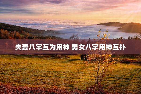 夫妻八字互为用神 男女八字用神互补