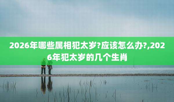 2026年哪些属相犯太岁?应该怎么办?,2026年犯太岁的几个生肖