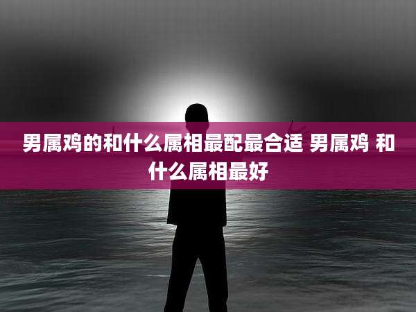 男属鸡的和什么属相最配最合适 男属鸡 和什么属相最好