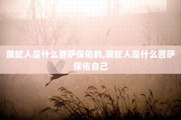 属蛇人是什么菩萨保佑的,属蛇人是什么菩萨保佑自己