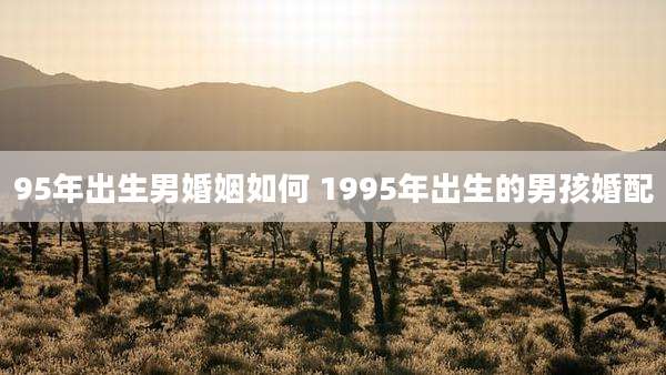 95年出生男婚姻如何 1995年出生的男孩婚配