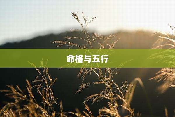 命格与五行