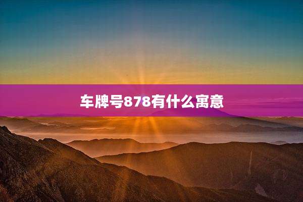 车牌号878有什么寓意
