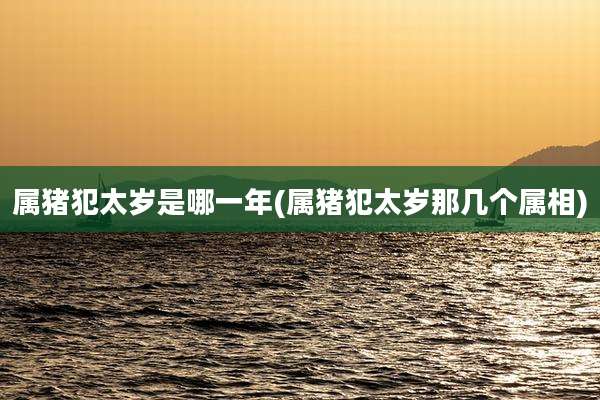 属猪犯太岁是哪一年(属猪犯太岁那几个属相)
