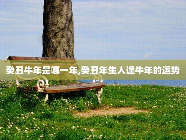 癸丑牛年是哪一年,癸丑年生人逢牛年的运势