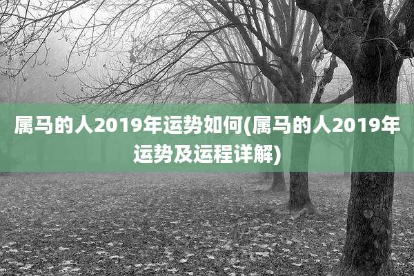 属马的人2019年运势如何(属马的人2019年运势及运程详解)