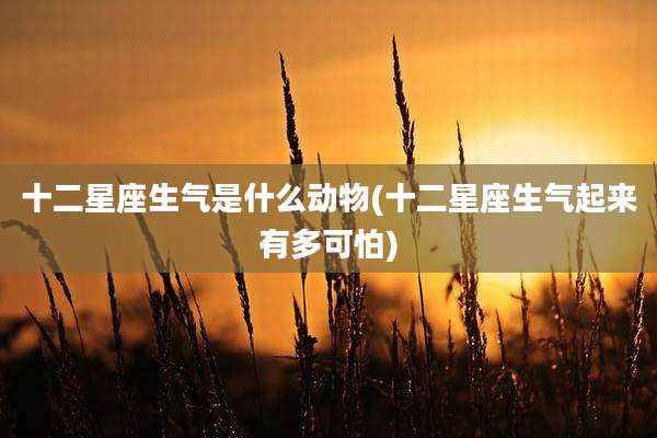 十二星座生气是什么动物(十二星座生气起来有多可怕)