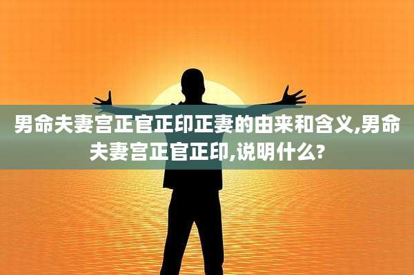 男命夫妻宫正官正印正妻的由来和含义,男命夫妻宫正官正印,说明什么?
