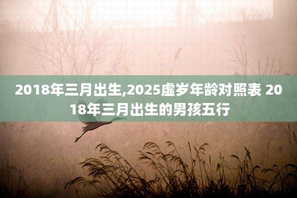 2018年三月出生,2025虚岁年龄对照表 2018年三月出生的男孩五行